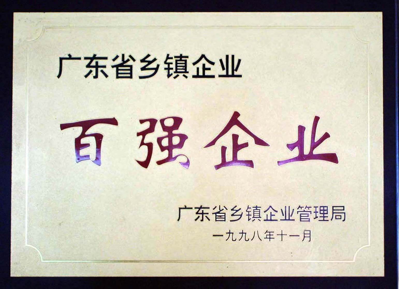 广东省乡镇企业百强企业