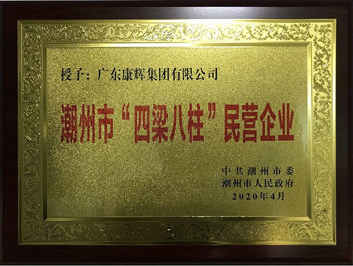 潮州市 “四梁八柱”民营企业