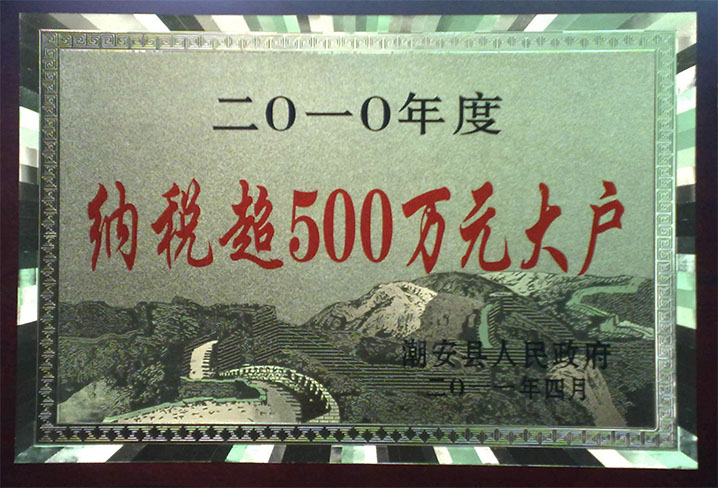 纳税超500万元大户